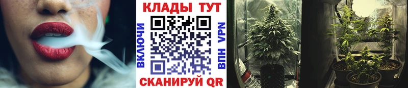 Наркотические вещества Горно-Алтайск Метадон  Меф мяу мяу  Cocaine  Alpha PVP  блэк спрут маркетплейс  Бошки Шишки  Галлюциногенные грибы  ГАШ 