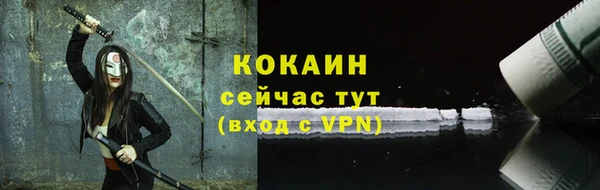 твердый Снежногорск