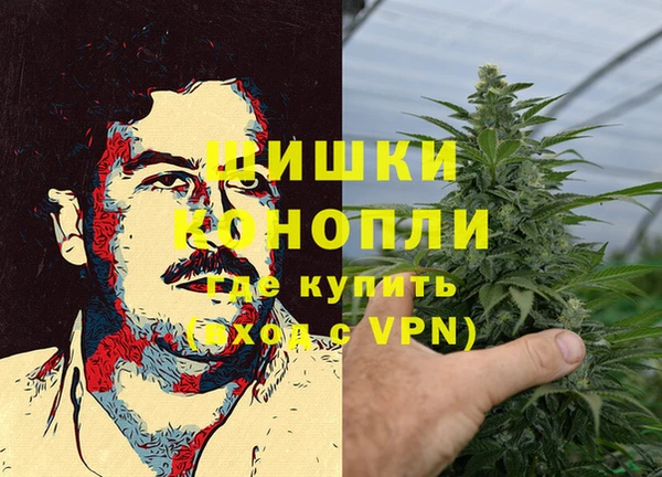 PSILOCYBIN Балабаново