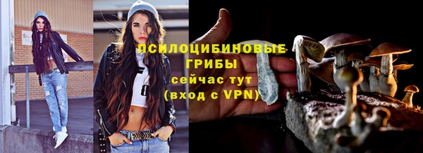 ПСИЛОЦИБИНОВЫЕ ГРИБЫ Слюдянка
