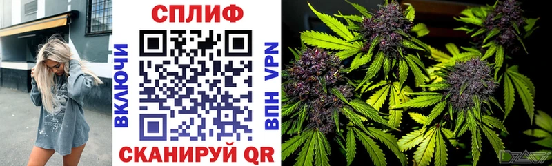 Канабис Amnesia Горно-Алтайск